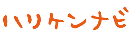 ハリケンナビ