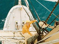 võAo3